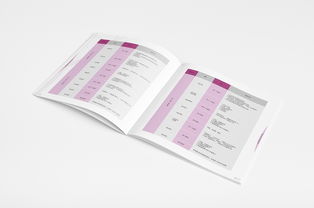 羅蘭數字音樂教育畫冊設計