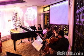 長(zhǎng)笛色士風(fēng),鉆石山及馬鞍山上課,每堂 150,音樂教育系畢業(yè)