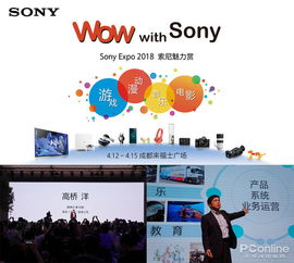 王者歸來 2018索尼魅力賞揭示索尼 后復興戰略