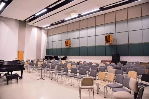 國(guó)際音樂(lè)精英培錄計(jì)劃 夏令營(yíng)2017季精彩回顧